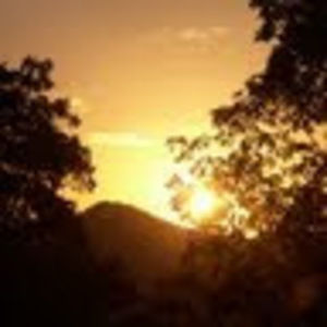 Meet your Posher, Maggie